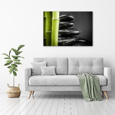 Duży foto obraz na ścianę canvas Bambus