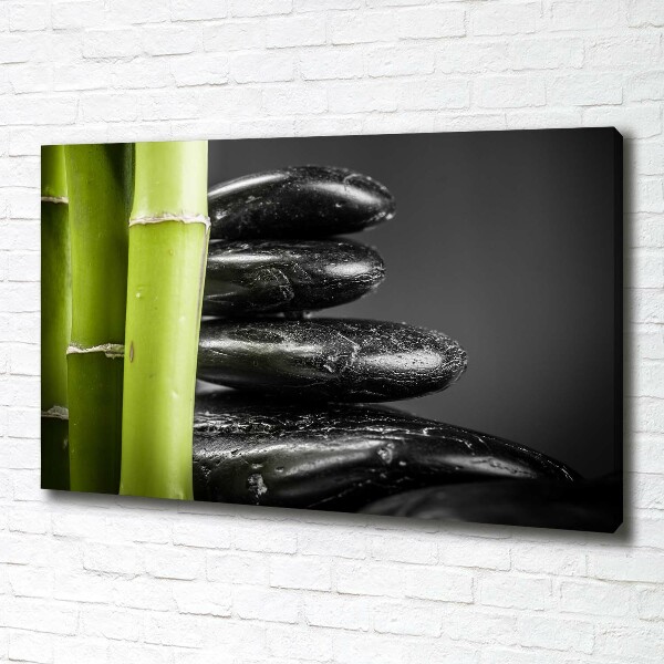 Duży foto obraz na ścianę canvas Bambus