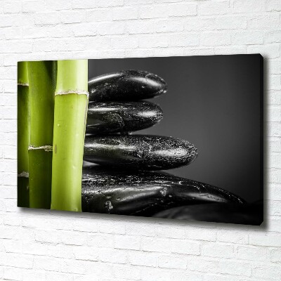 Duży foto obraz na ścianę canvas Bambus