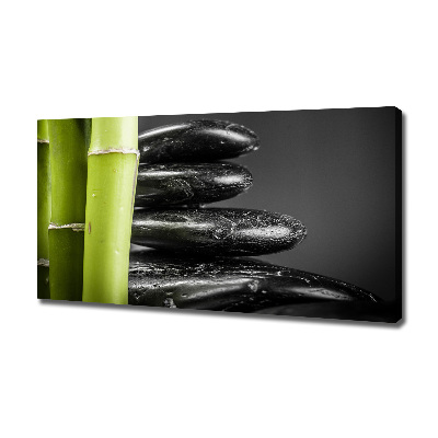 Duży foto obraz na ścianę canvas Bambus