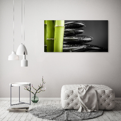 Duży foto obraz na ścianę canvas Bambus