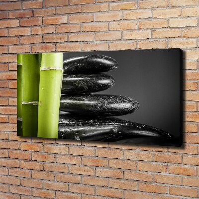 Duży foto obraz na ścianę canvas Bambus