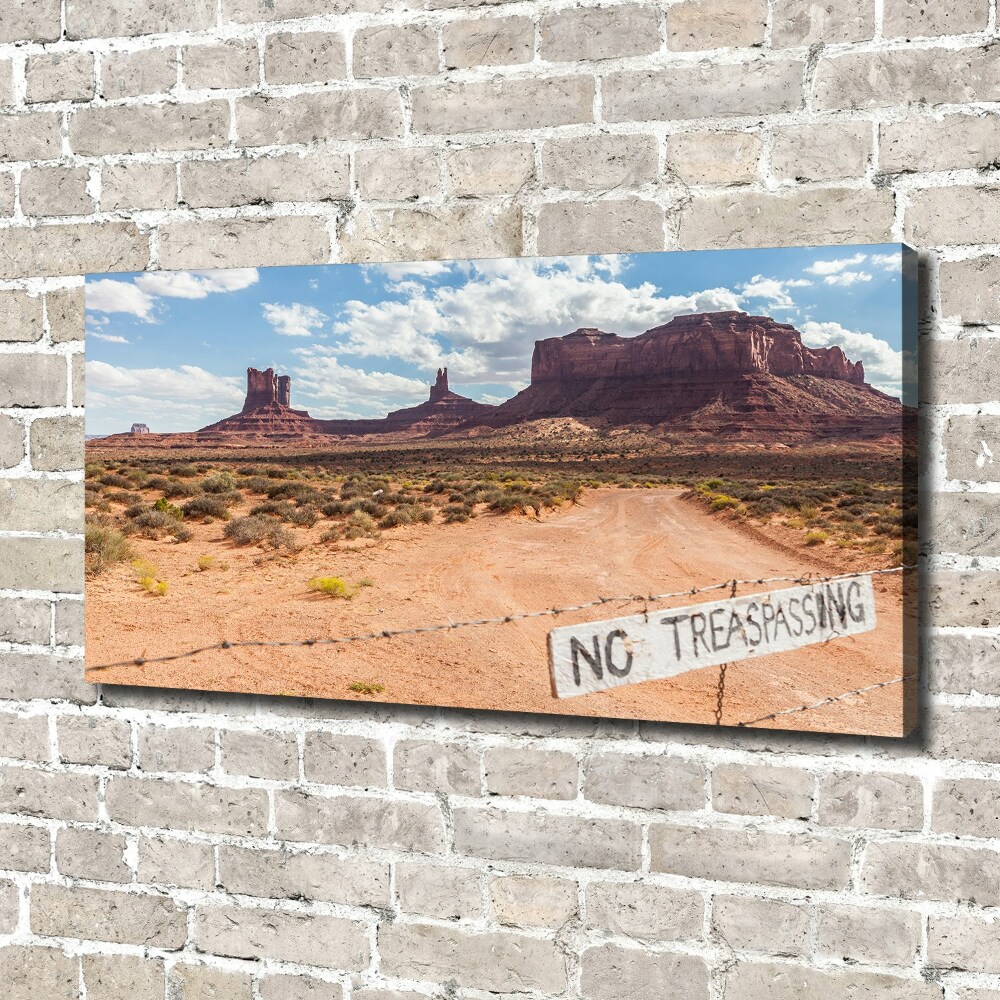 Foto obraz canvas Arizona USA