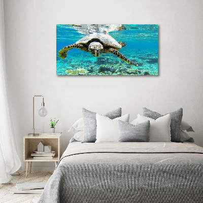 Foto obraz canvas Żółw morski