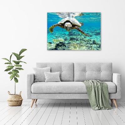 Foto obraz canvas Żółw morski