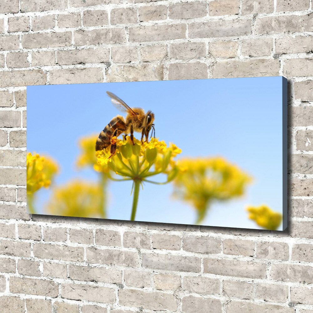 Foto obraz na płótnie Pszczoła na kwiatku