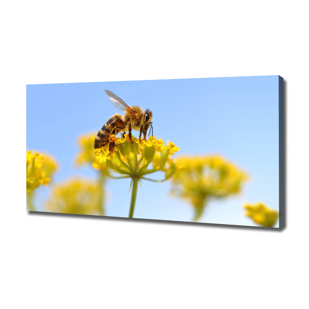 Foto obraz na płótnie Pszczoła na kwiatku