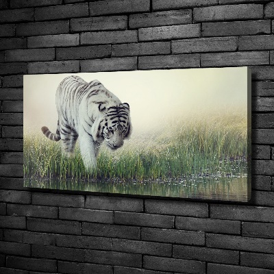 Duży Foto obraz na płótnie Biały tygrys