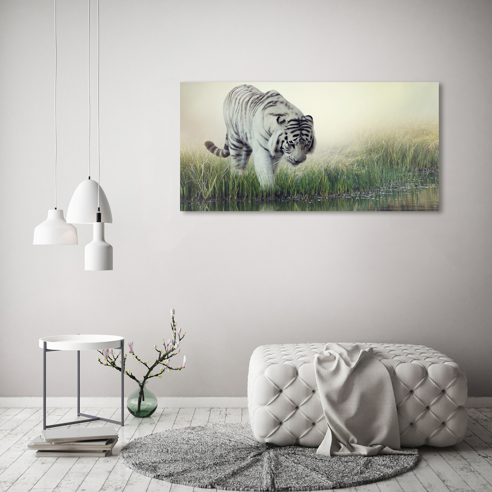 Duży Foto obraz na płótnie Biały tygrys