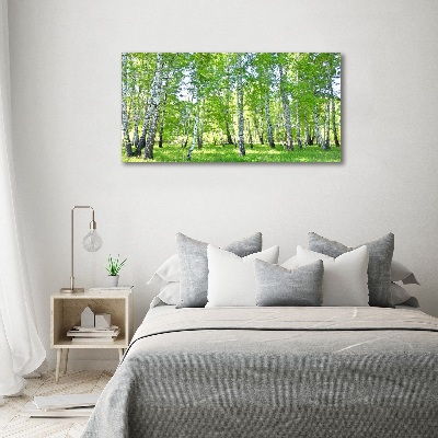 Duży foto obraz na ścianę canvas Brzozy