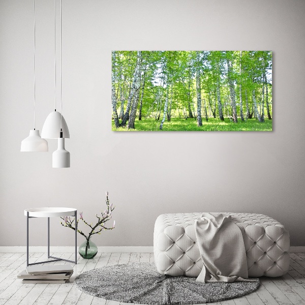 Duży foto obraz na ścianę canvas Brzozy