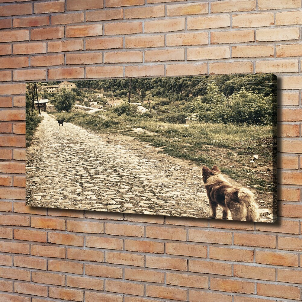 Foto obraz na płótnie Dwa psy na wzgórzu