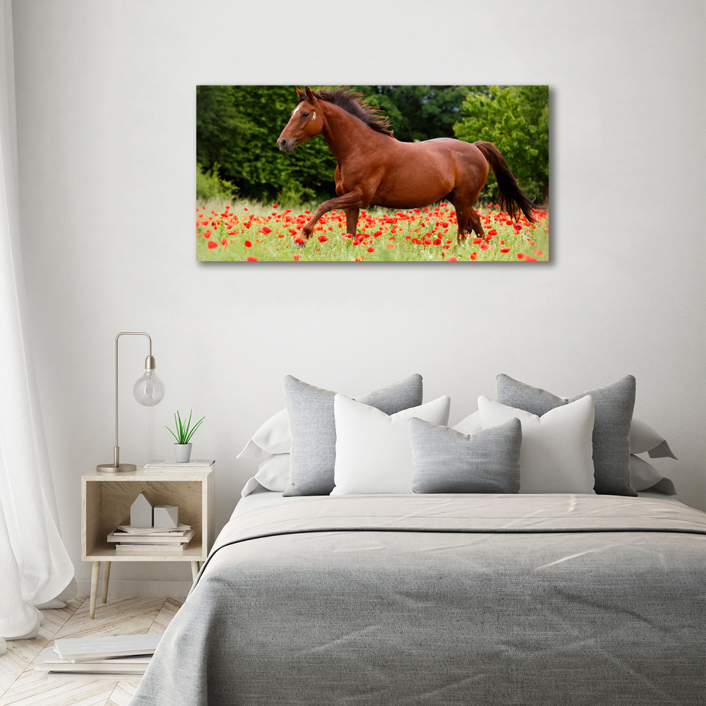Foto obraz na płótnie Koń na polu maków
