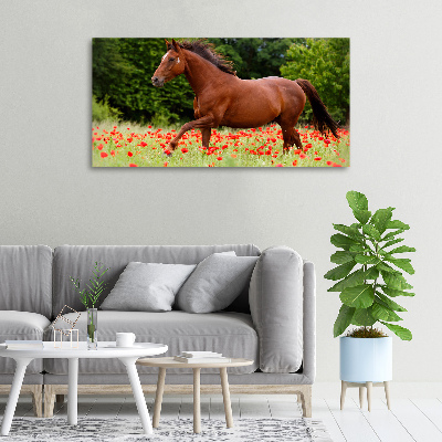 Foto obraz na płótnie Koń na polu maków