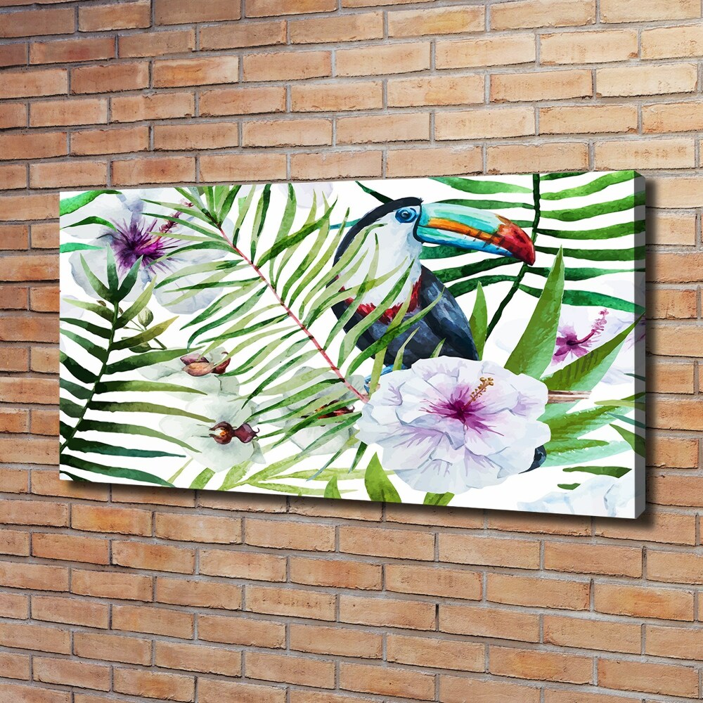 Foto obraz na płótnie Tukan tropika