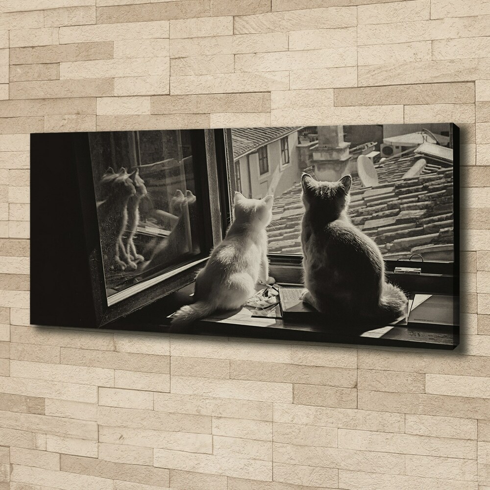 Foto obraz na płótnie Koty przy oknie