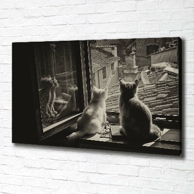 Foto obraz na płótnie Koty przy oknie