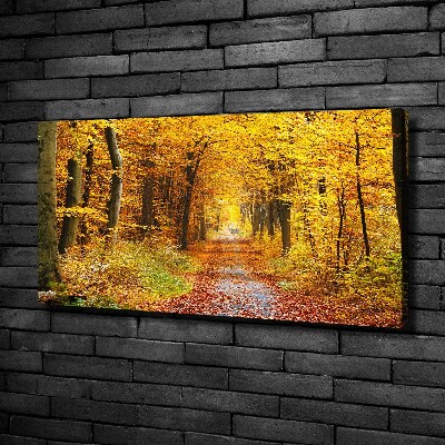 Duży Foto obraz na płótnie Las jesienią