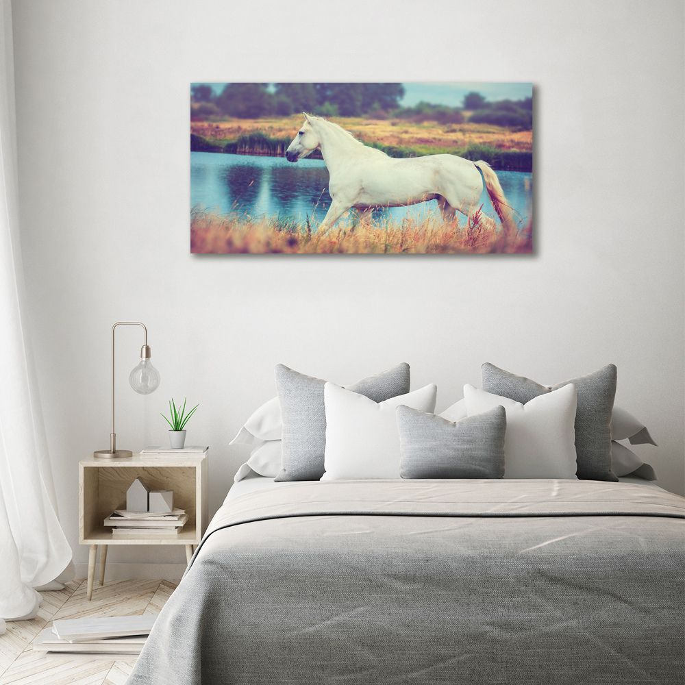Foto obraz na płótnie Biały koń jezioro