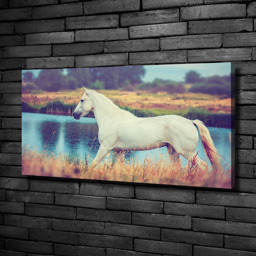Foto obraz na płótnie Biały koń jezioro