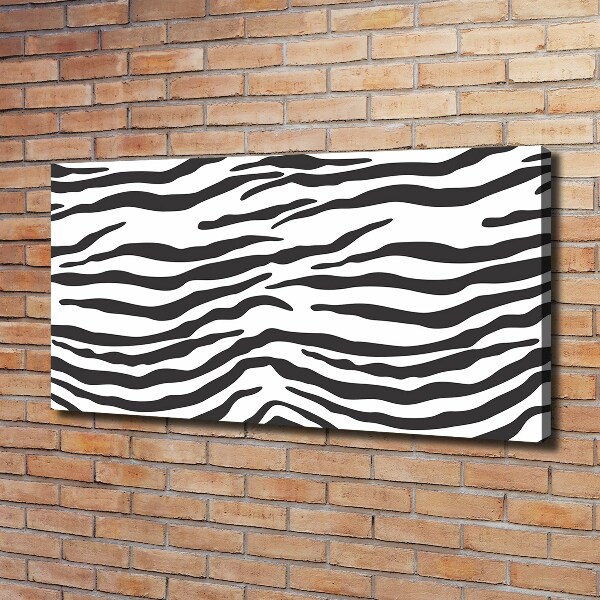 Foto obraz canvas Zebra tło