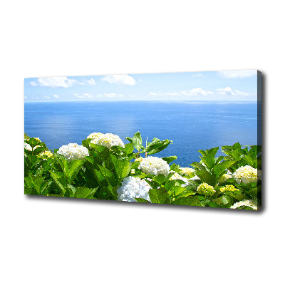 Foto obraz na płótnie Kwiaty nad morzem