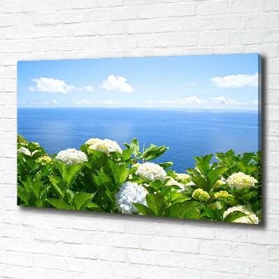 Foto obraz na płótnie Kwiaty nad morzem