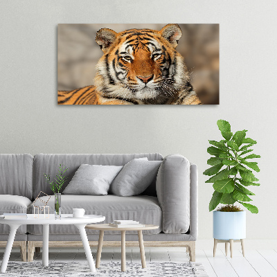 Foto obraz na płótnie Tygrys bengalski