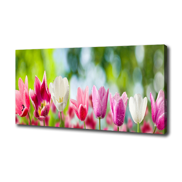 Foto obraz canvas Tulipany