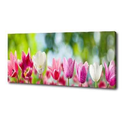 Foto obraz canvas Tulipany