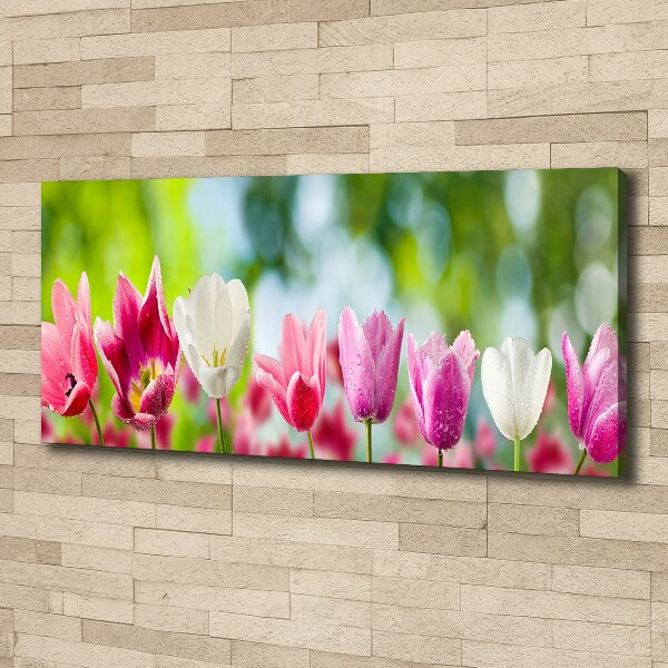 Foto obraz canvas Tulipany