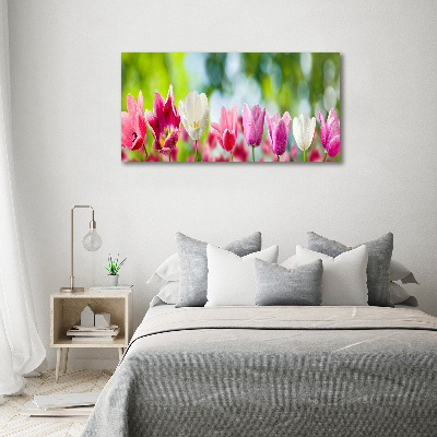 Foto obraz canvas Tulipany