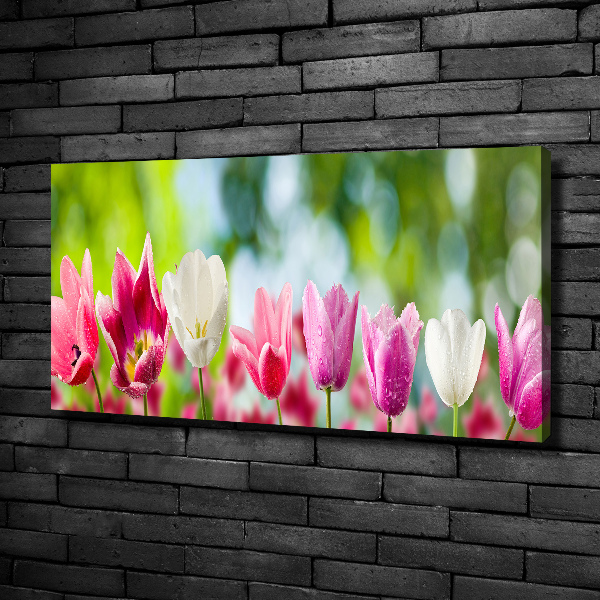 Foto obraz canvas Tulipany