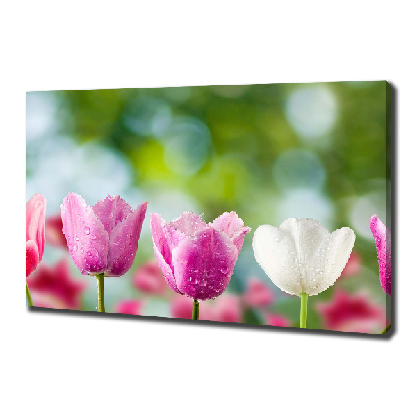 Foto obraz canvas Tulipany