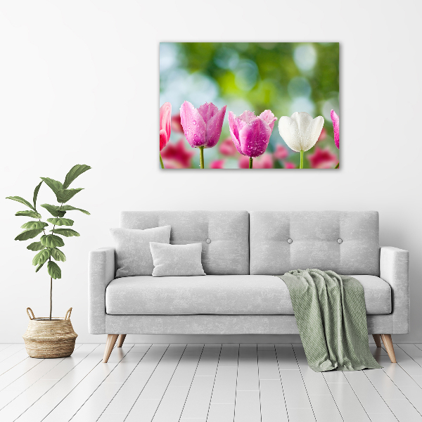 Foto obraz canvas Tulipany