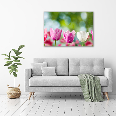 Foto obraz canvas Tulipany