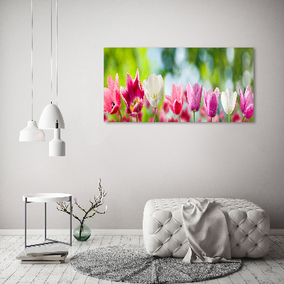 Foto obraz canvas Tulipany