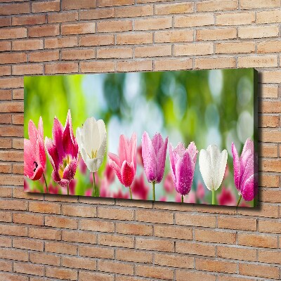 Foto obraz canvas Tulipany