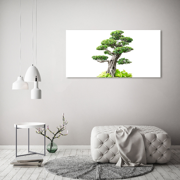 Foto obraz na płótnie Drzewo bonsai