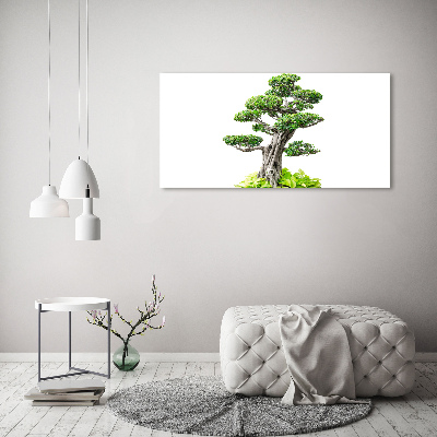 Foto obraz na płótnie Drzewo bonsai