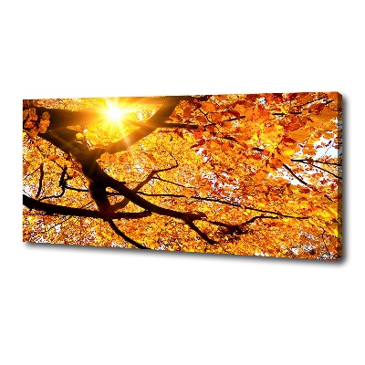 Foto obraz na płótnie Korona drzew jesień