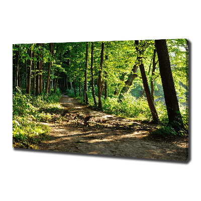 Foto obraz na płótnie Ścieżka na łące