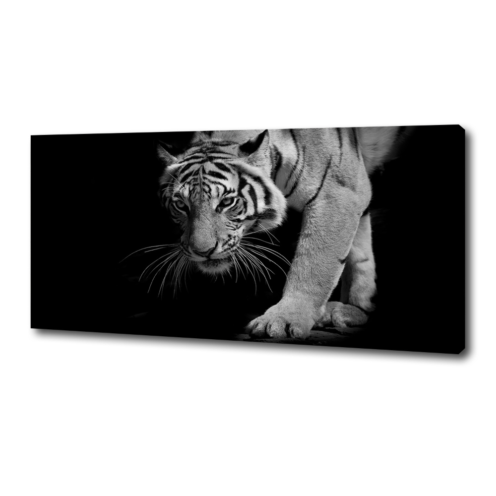 Duży foto obraz na ścianę canvas Tygrys
