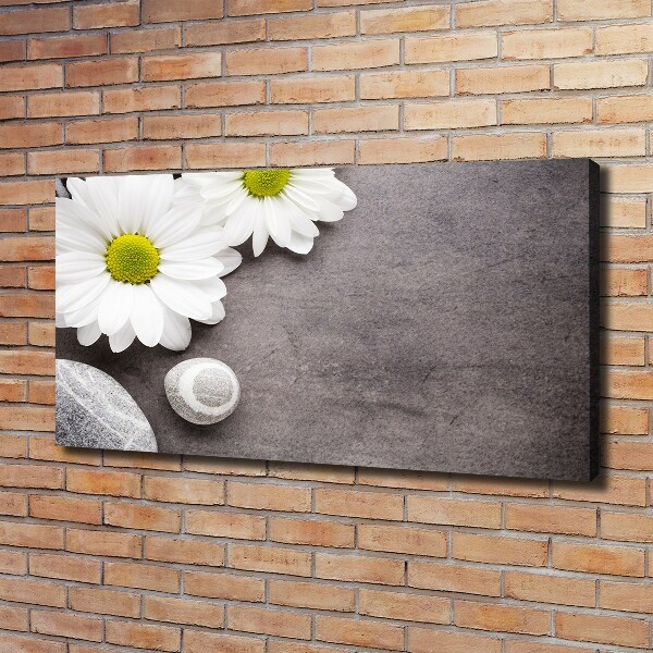 Foto obraz canvas Gerbera