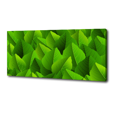Foto obraz na płótnie Zielone liście
