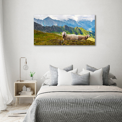 Foto obraz na płótnie Owce w Alpach