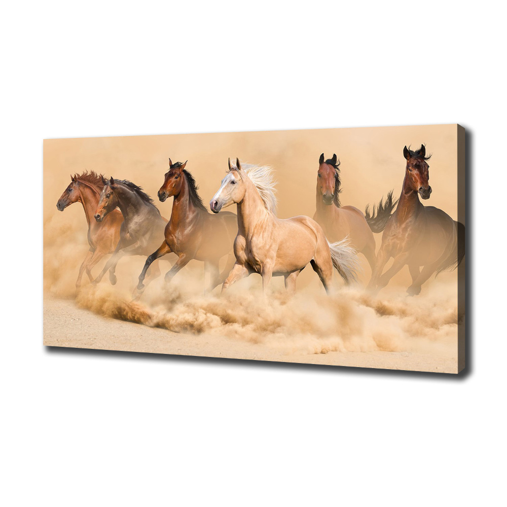 Foto obraz na płótnie Konie pustynia
