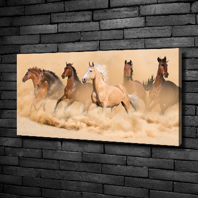 Foto obraz na płótnie Konie pustynia