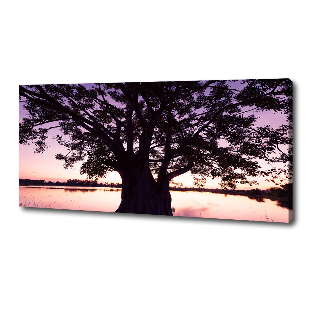 Foto obraz na płótnie Drzewo i jezioro