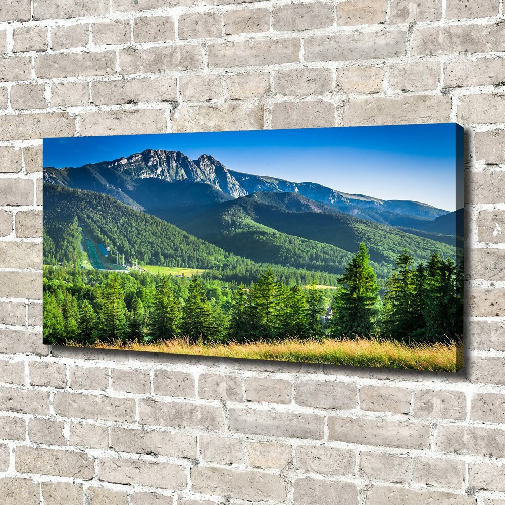 Foto obraz na płótnie Skocznia w Tatrach